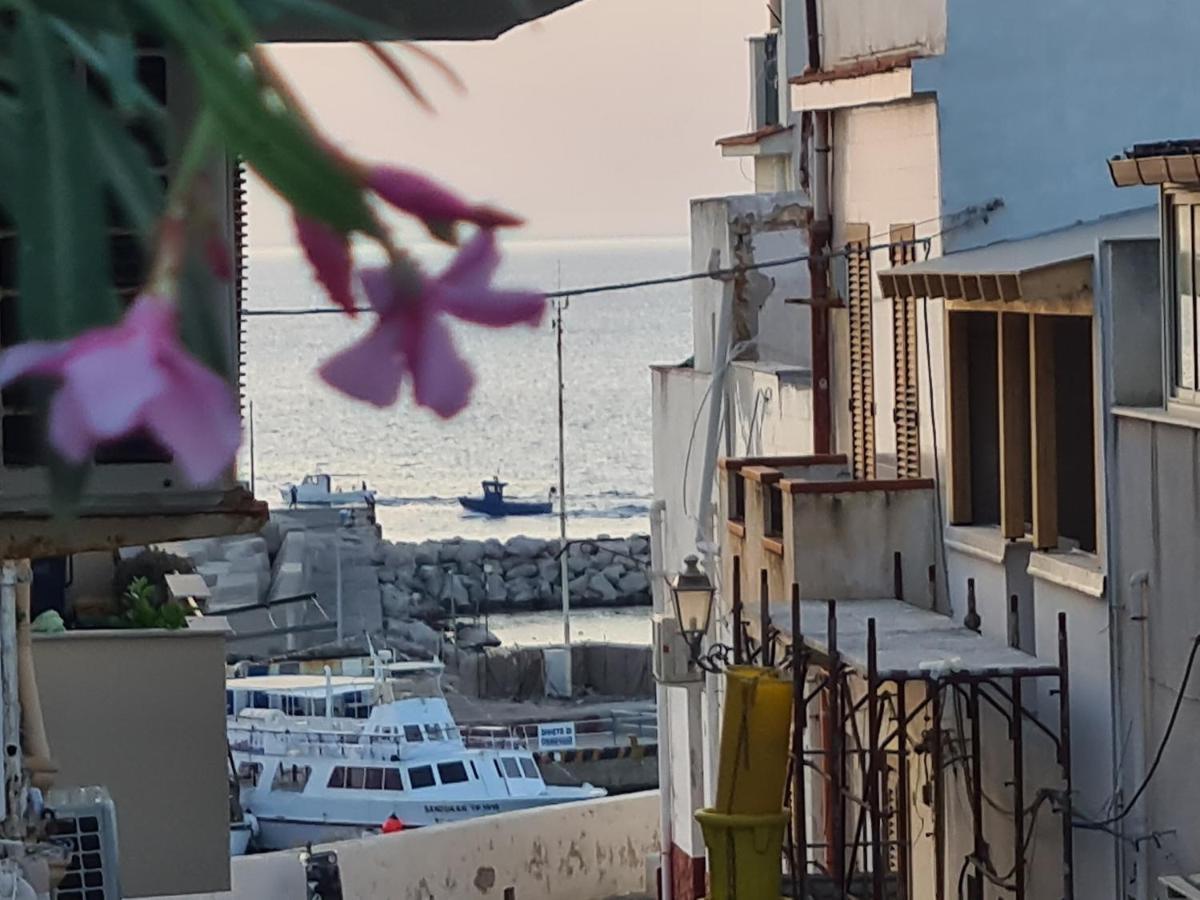 Apartament Casa Sul Mare Terrasini Zewnętrze zdjęcie